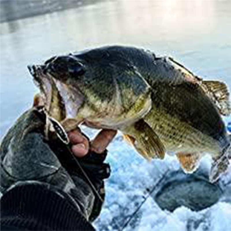 Fishing Boat Depth Finder - ABLB-Kayak Boot Fishfinder Transducer Draagbare Visdieptemeter