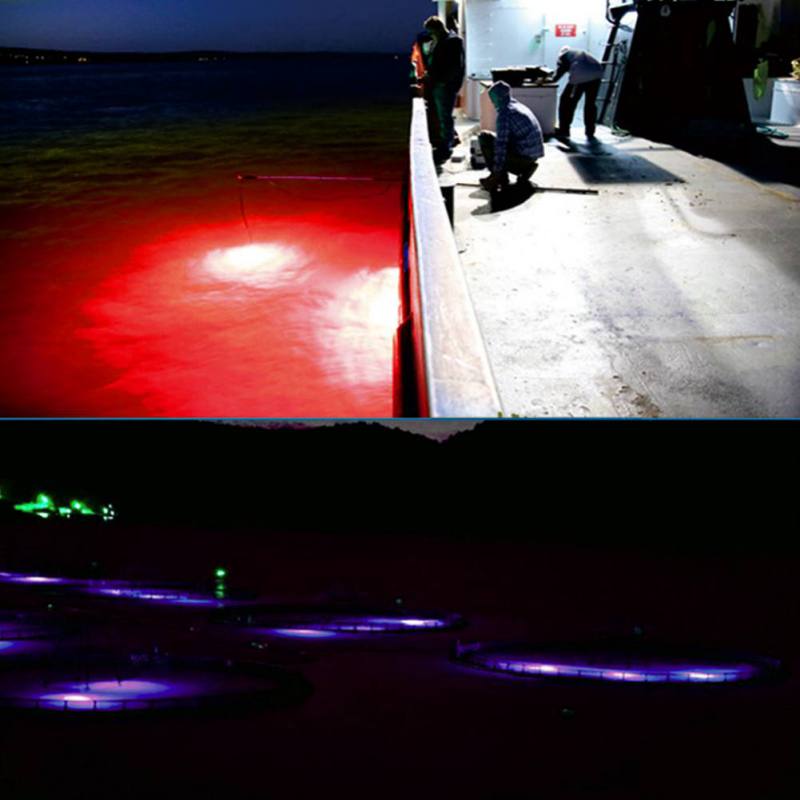 Mini Vissen Attractie Lamp Glo - Fishing Boat Navigation Light recensie en prijs